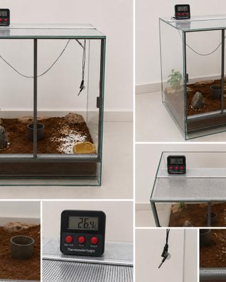 Terrario in vetro 65x45x45 completo di setup