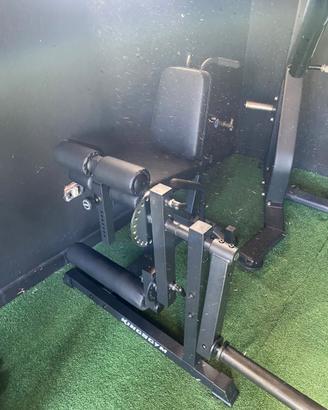 leg extension/ leg curl kingsgym