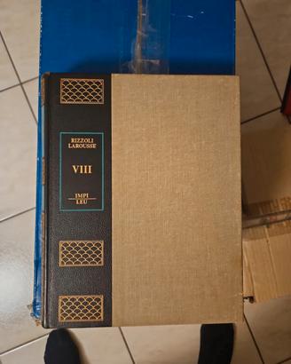Enciclopedia Rizzoli Larousse 