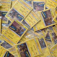Pokemon Promo Detective Pikachu Stamped e Sealed