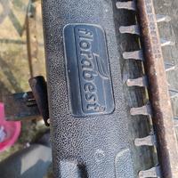 Taglia siepi elettrico Flora best 