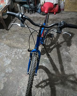 bici magnum 24