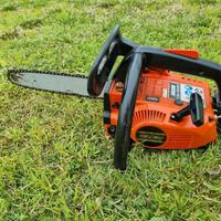 Motosega da potatura