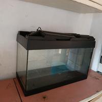Acquario usato in buono stato.