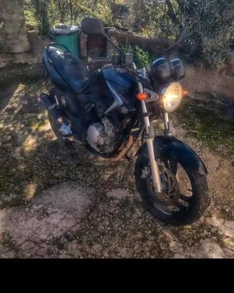 yamaha ybr 250
