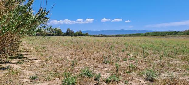 Terreno agricolo a Quartu Sant'Elena - Molentargiu