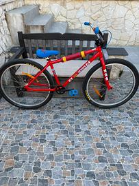 Wheelie Bike GT Rad series GT (29’’)