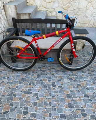 Wheelie Bike GT Rad series GT (29’’)