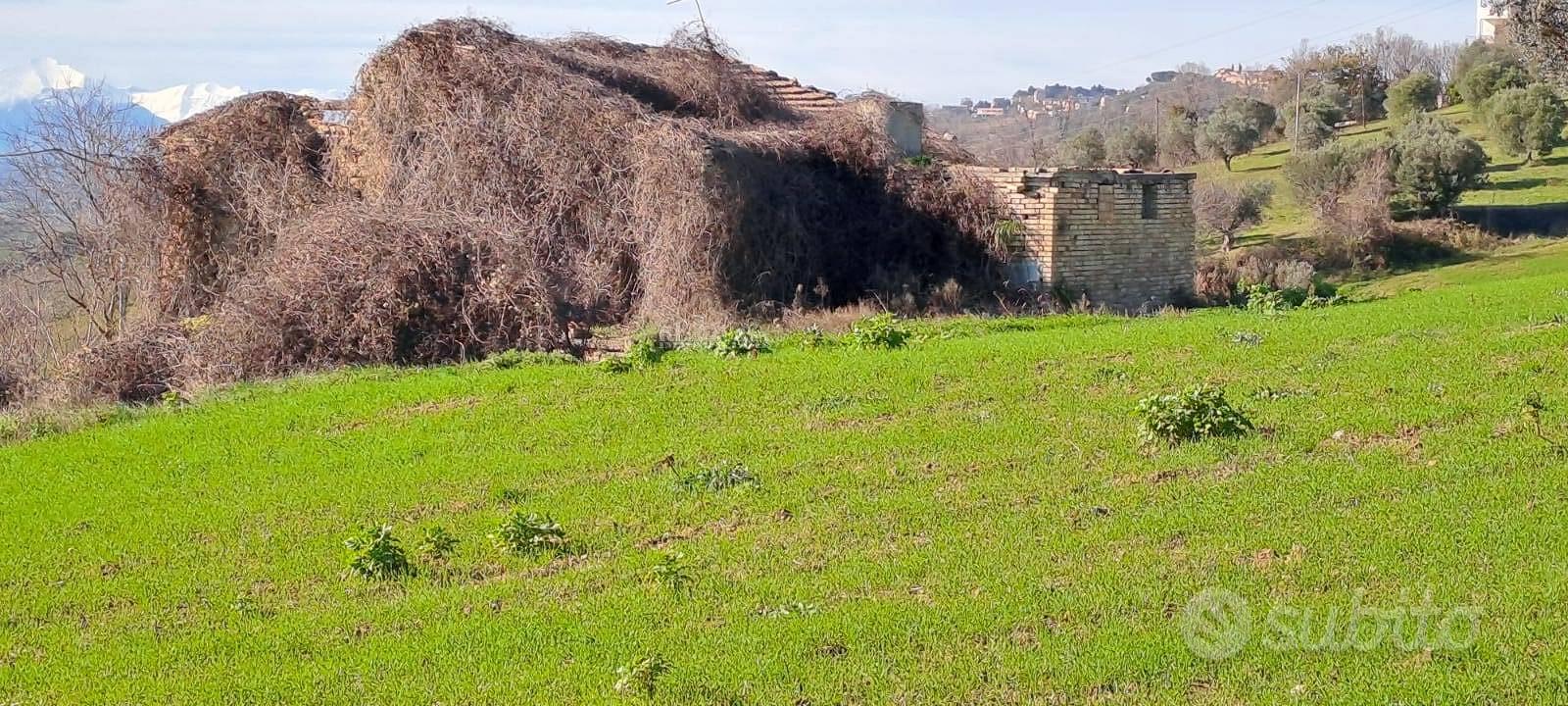Casale / Rustico - Massignano - Vista 3
