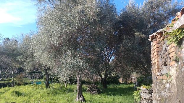 Terreno agricolo su più livelli