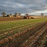 terreno-agricolo-tribano-cod-rif-3389123vcg-
