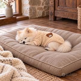 Felpa pile cane taglia S teddy orsetto beige
