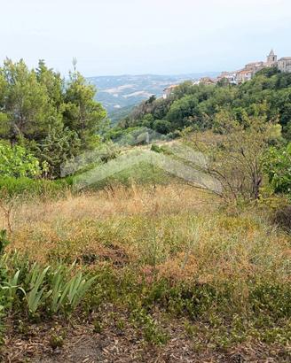 Terreno Agricolo - Castelbottaccio