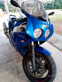 Yamaha FZR 1000 Exup