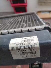 Radiatore kymco people s 300