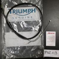 T2043488 Cavo Acceleratore Triumph originale