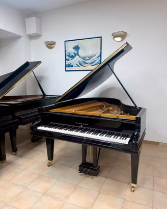 Steinway & Sons modello O