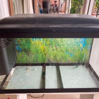 Acquario Cayman 120 litri