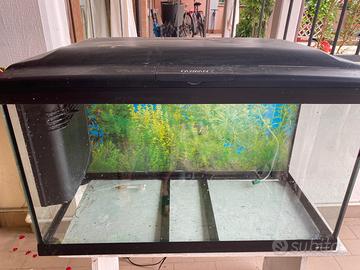 Acquario Cayman 120 litri