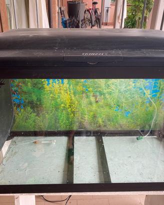 Acquario Cayman 120 litri