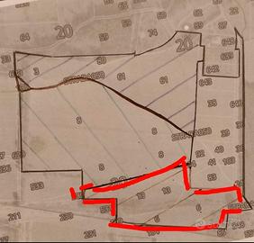 Terreno agricolo Villa San Pietro