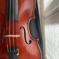 Violino