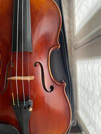 Violino