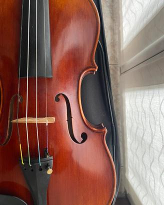 Violino