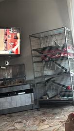 Gabbia per furetti