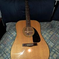 Chitarra acustica Fender F210