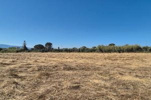 Terreno agricolo a Fenosu