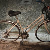 Bicicletta funzionante 