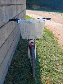 bicicletta da bambina 20 pollici
