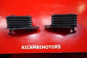 RADIATORE SX DX BMW R1150R 2002