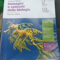 libro di testo