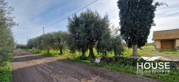 Paterno' terreno agricolo