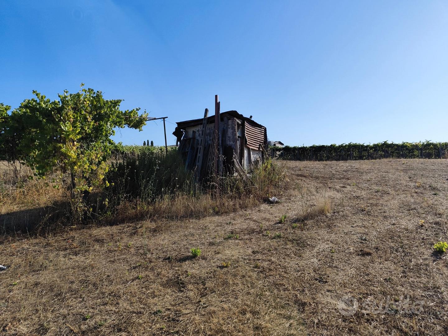 Terreno agricolo - Vista 4