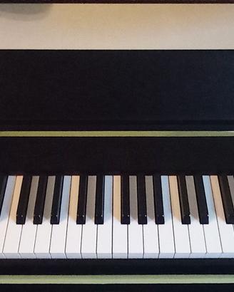 CASIO PRIVIA PX S3000