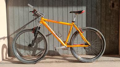 bicicletta MTB alluminio 