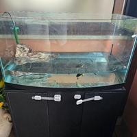 vasca tartarughe, tartarughiera con mobile