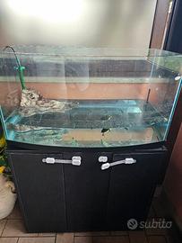 vasca tartarughe, tartarughiera con mobile