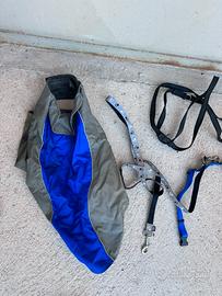 Accessori per cane