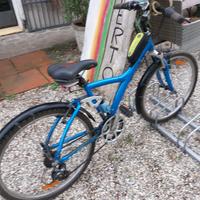 bicicletta trekking 