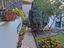 Immagine 11