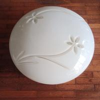 plafoniera con fiori 