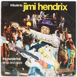 Dischi in vinile 33/45 giri