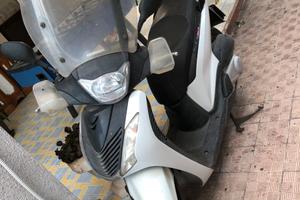 sh 150 anno 2012 sport