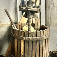 Torchio x uva antico