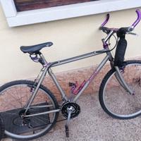 Bicicletta