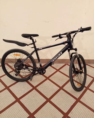 Bici elettrica
